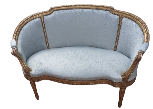 Canapé gris avec motifs fleuris argentés
